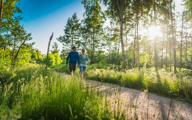 Couple walking along trail with sun shining through trees 