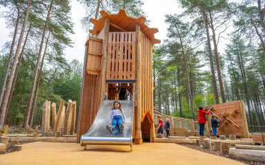 Children and adults in a woodland play area.