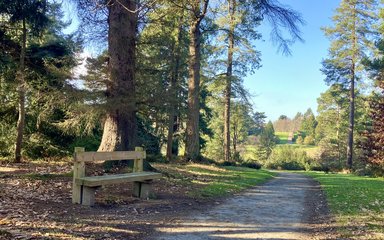 A bench surrounded by trees and a view across a valley