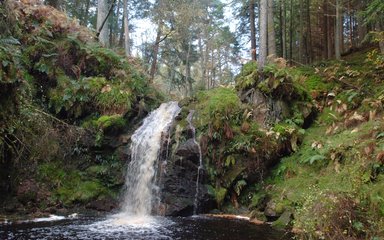 Hindhope Linn Kielder Forest