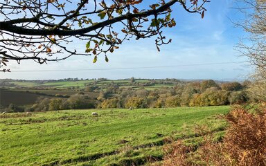 Green field with rolling hills in the distance.