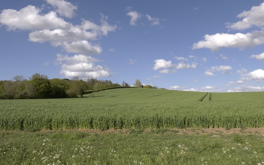 Bright blue sky above open field