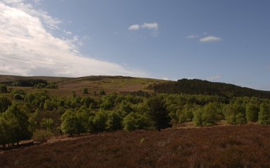 Rolling hills with shades of green and brown on a sunny day