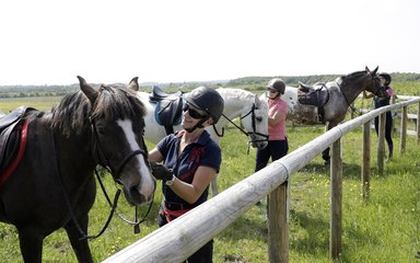 Horse Corral at Hicks Lodge