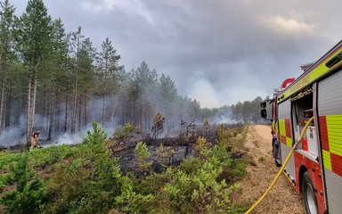 A fire engine and hose battling a forest fire