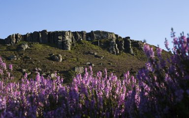 Forests of Rothbury, Simonside Crag