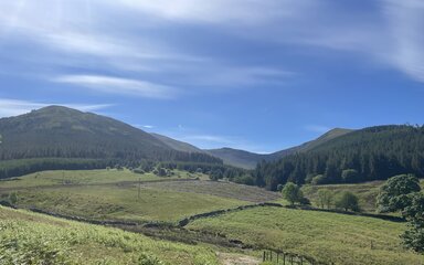 A view of farm pasture in front of a wooded mountain vista