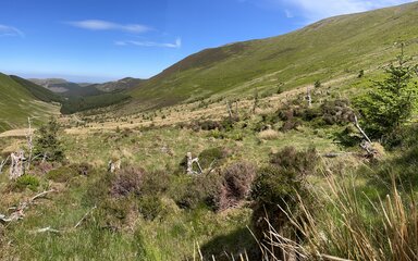 A grassed valley with mountains in the background
