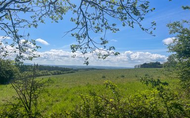 A view across open fields with rolling hills in the distance