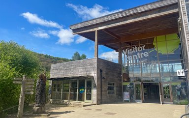 A Visitor Centre building made out of wood with a large glass frontage.