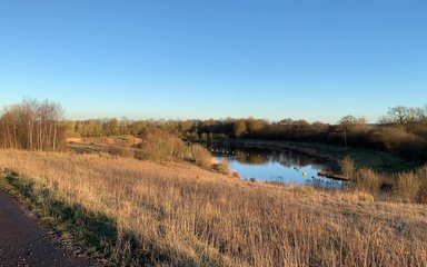 Shirebrook Wood on a winter morning