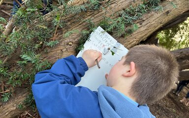 Treehouse at Wendover Woods