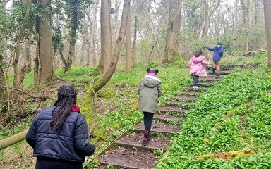 Four women walk up steps in the forest