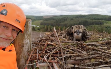 Man with Osprey