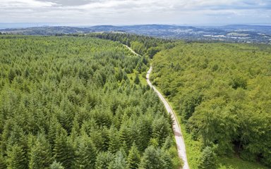 aerial view of forest with hills on the horizon