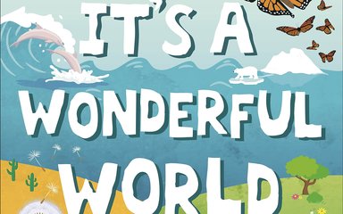 A book cover showing the words it's a wonderful world