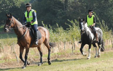 Ladies riding on Horses through the woodlands