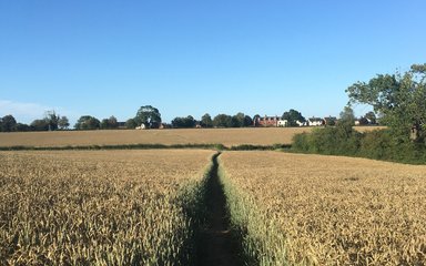 Jo Staniforth field pathway