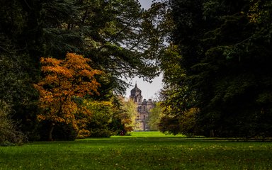 Holford Ride Westonbirt