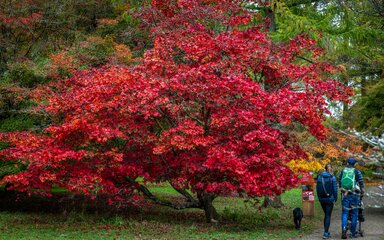 Autumn 