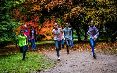 Kids running in forest
