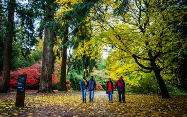 autumn westonbirt