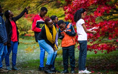 A young boy and his mother peer intently at a beautiful red leaf in autumn.