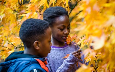 A young girl and boy look at some bright yellow leaves in wonder