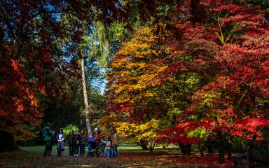 A group of adults and children listen to a guided walk surrounded by autumn colour
