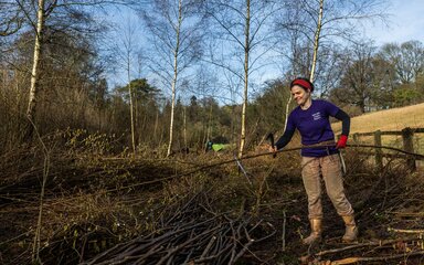 A woman is coppicing a hazel stick 