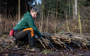 A woman coppicer kneels down at beanpole and peastick produce