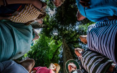 Group Westonbirt