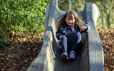 A young girl slides down a wooden tree trunk slide