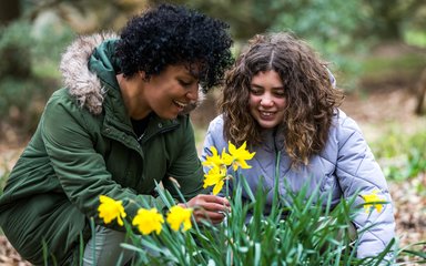 A mother and daughter gaze down at a bright yellow daffodil flower. They smile as the mother reaches her hand out to the stem of the flower