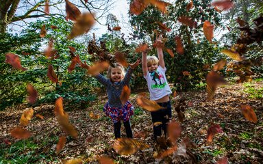 A girl and boy aged 3 years throw leaves up in the air with great happiness and gusto