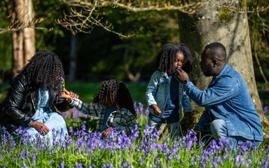 A family kneel down among bluebells to smell and take in their beauty. 