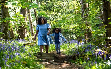 A mum and son walk along a woodland path surrounded by bluebells