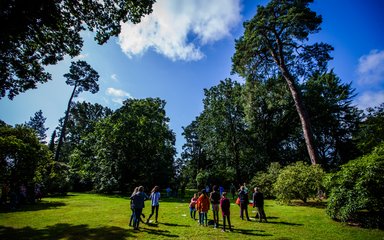 Children play in a wide opening surrounded over head by a lush green tree canopy and beautiful blue sky