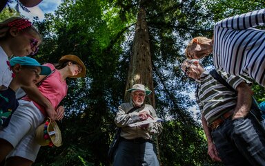 Westonbirt group