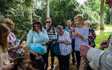 Westonbirt group