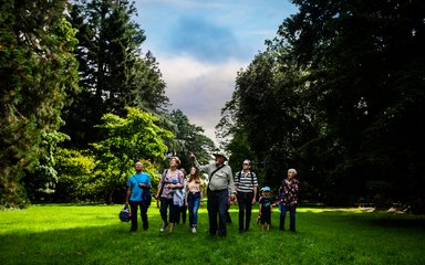 Westonbirt group