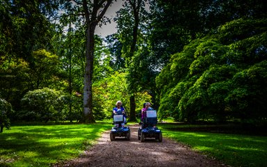 Two women on trampers exploring the forest on a sunny day