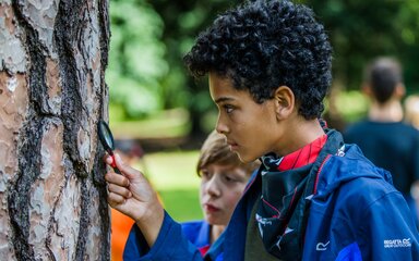 A young boy looks through a magnifying glass to take a closer look at the bark of a tree trunk.