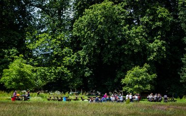 A mighty lush green tree dominates over several picnic benches in the distance with people enjoying some food and drink in the glorious sun