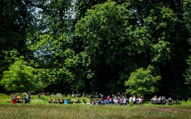 A mighty lush green tree dominates over several picnic benches in the distance with people enjoying some food and drink in the glorious sun