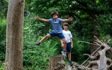 A young boy in a blue t-shirt and dark blue shorts jumps high off a log with his arms and legs stretched out. His older brother stands behind him smiling.