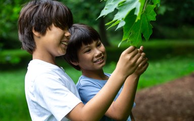 2 young brothers hold on to a large green leaf studying it's shape and size