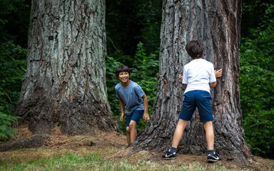 2 young brothers play catch around a textured tree trunk. 