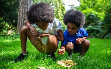 2 young boys crouch down to look closer at some mushroom growing from lush green grass