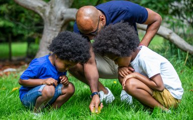 A father and his two boys crouch down to look closer at wildlife in the grass